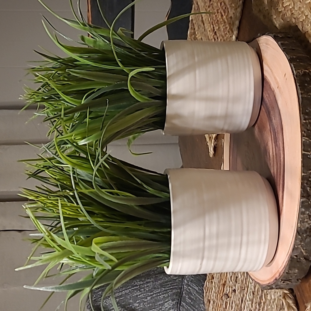 Faux plants